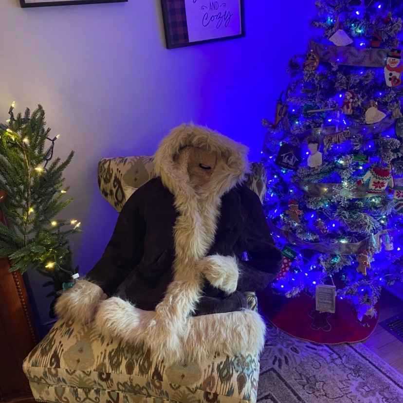 Faux Fur Trimmed Brown Coat